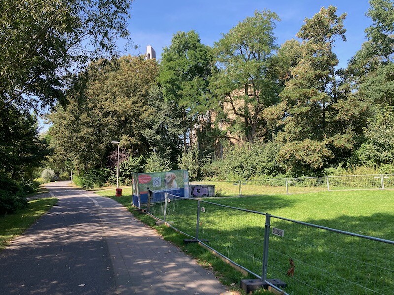 Hundeauslauf---6