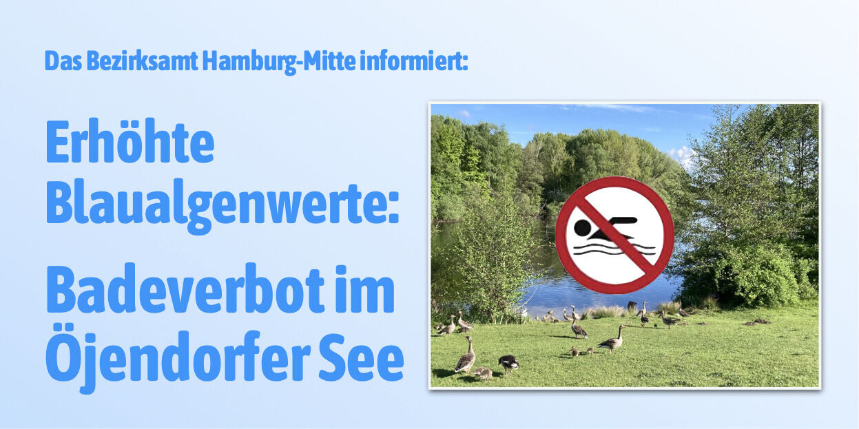 Erhöhte Blaualgenwerte: Badeverbot im Öjendorfer See