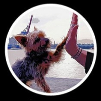 elbdogs & co