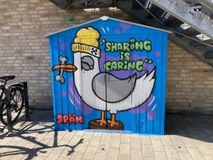 IMG_3285